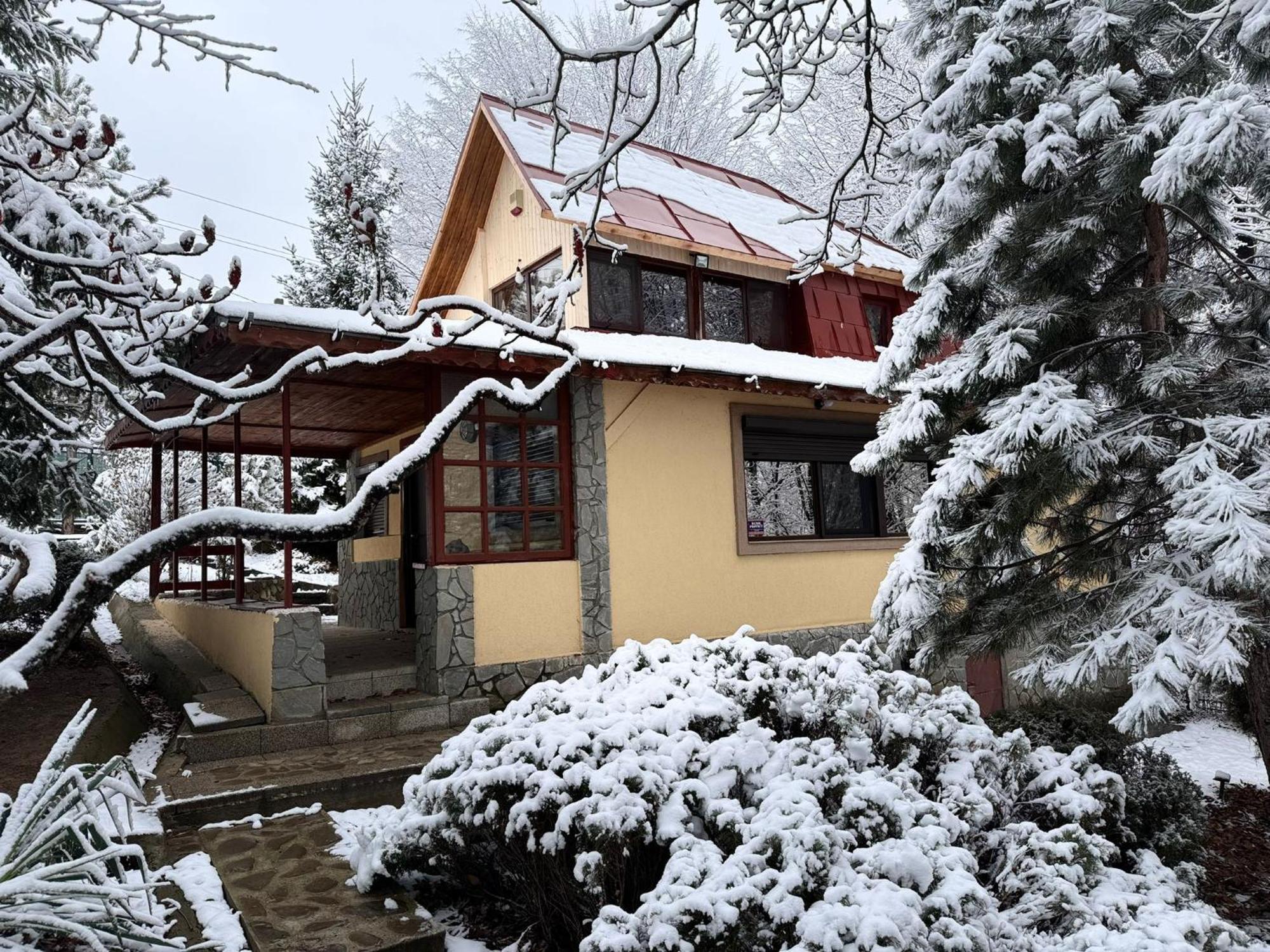 Cabana Din Padurea Valeni Vălenii de Munte Eksteriør bilde