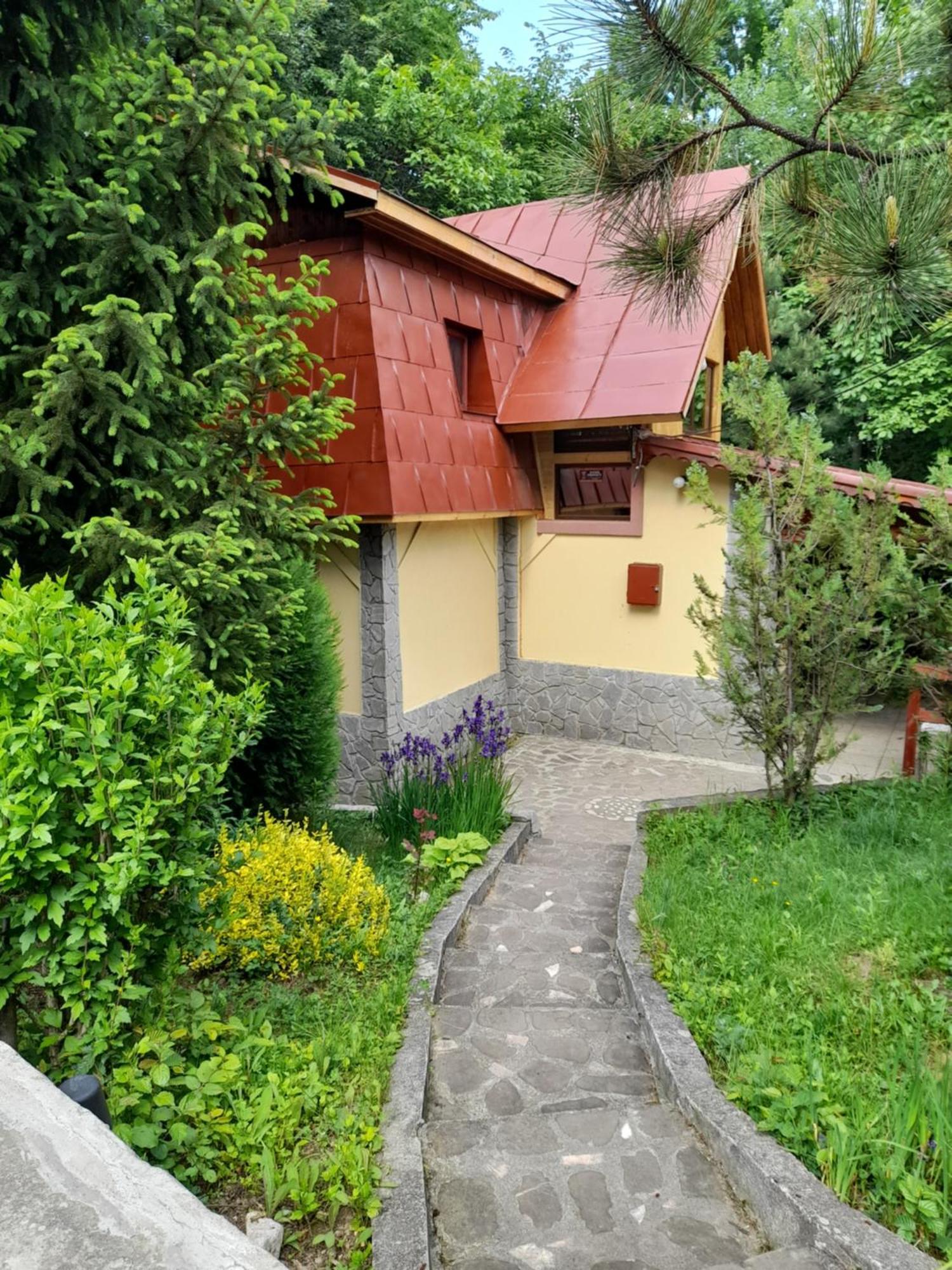Cabana Din Padurea Valeni Vălenii de Munte Eksteriør bilde